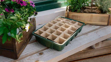 ECOstyle muurahaisten torjunta