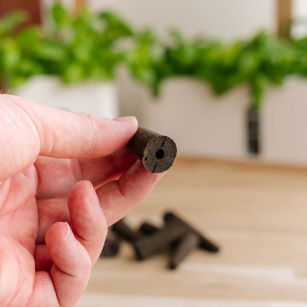 10 kpl kasvusieniä sisäpuutarhoihin