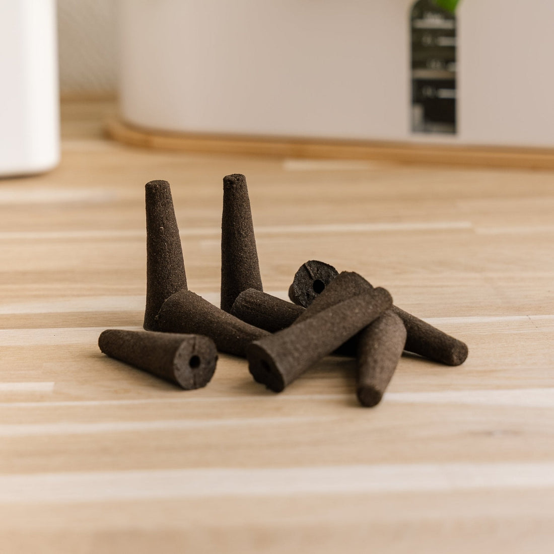 10 kpl kasvusieniä sisäpuutarhoihin