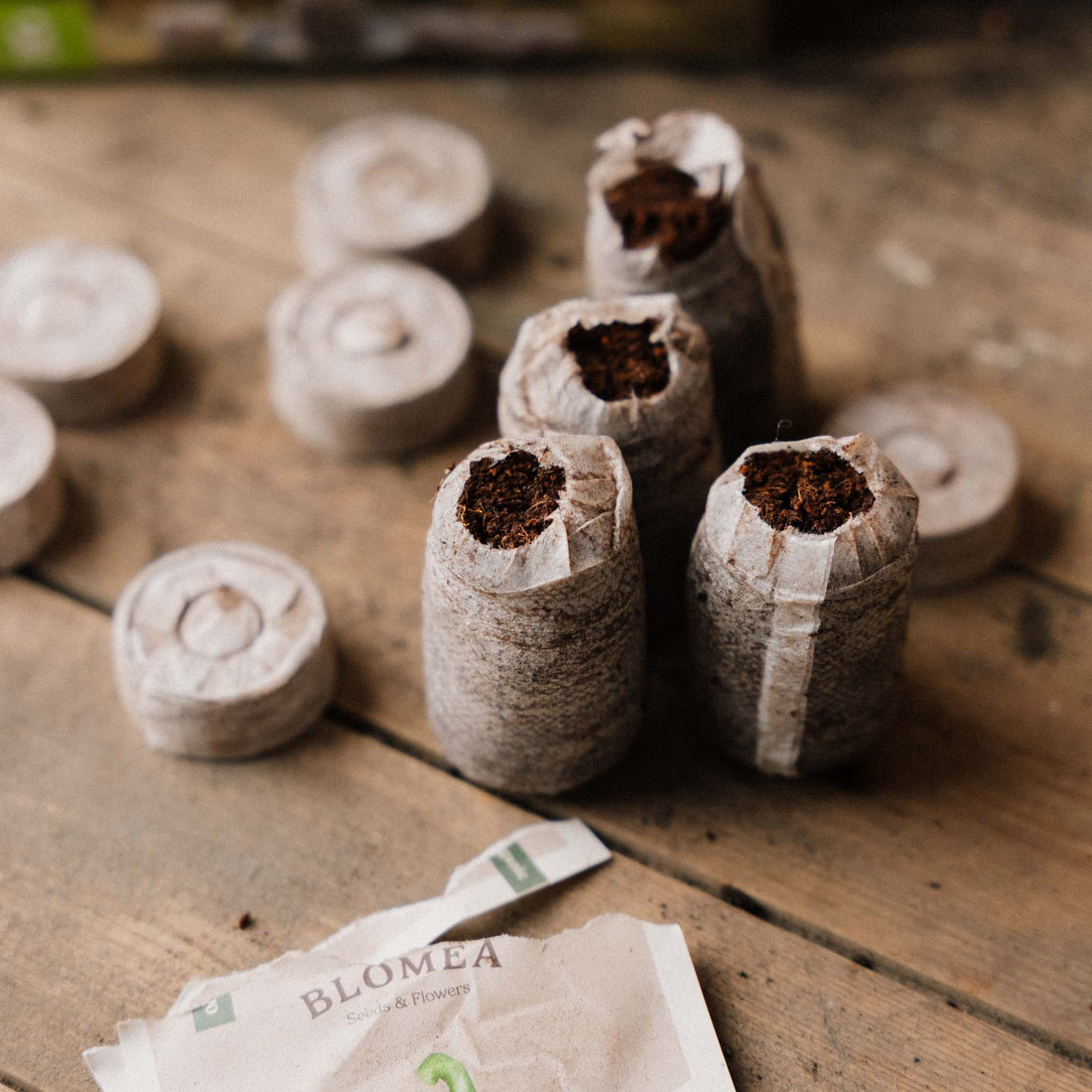 35 mm kookosbrikettejä, 50 kpl