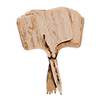 Kasvikyltit