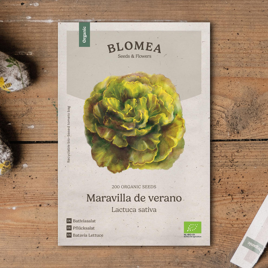 Batavia - salaatin siemenet 'Maravilla de Verano' - 200 luomusiementä