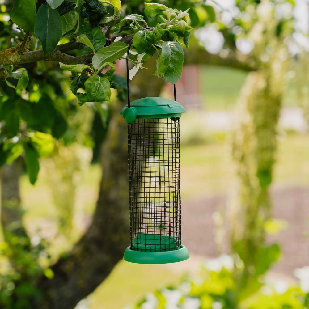 Flip Top maapähkinäruokinta - automaatti, Korkeus 20 cm