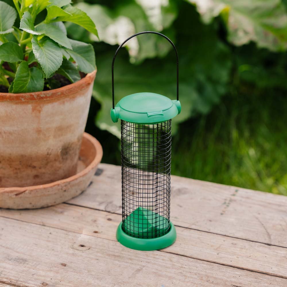 Flip Top maapähkinäruokinta - automaatti, Korkeus 20 cm