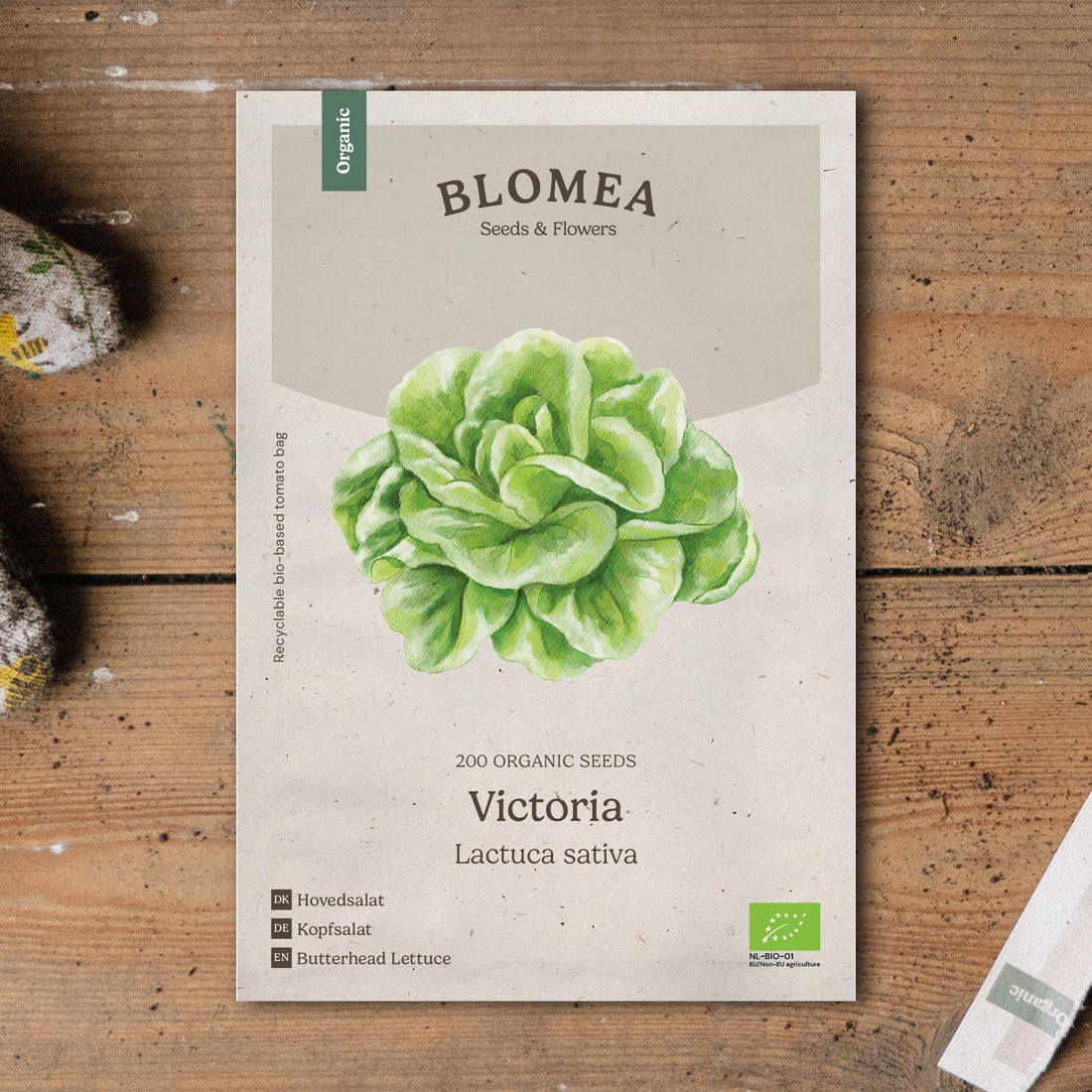Keräsalaatin siemenet 'Victoria' - 200 luomusiementä