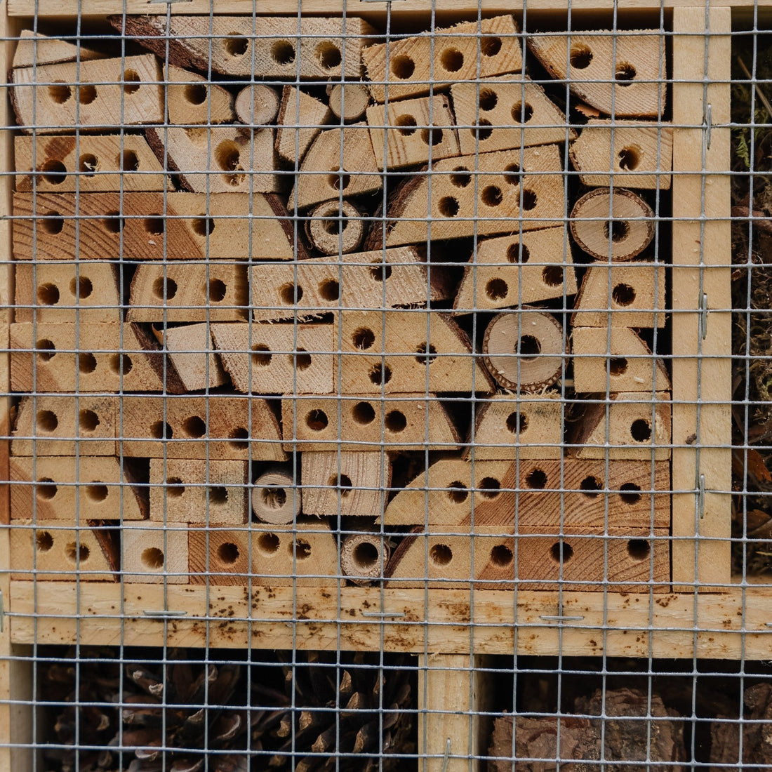 Hyönteishotelli, luonnonvärinen, Pituus: 12 cm Leveys: 38 cm Korkeus: 43 cm