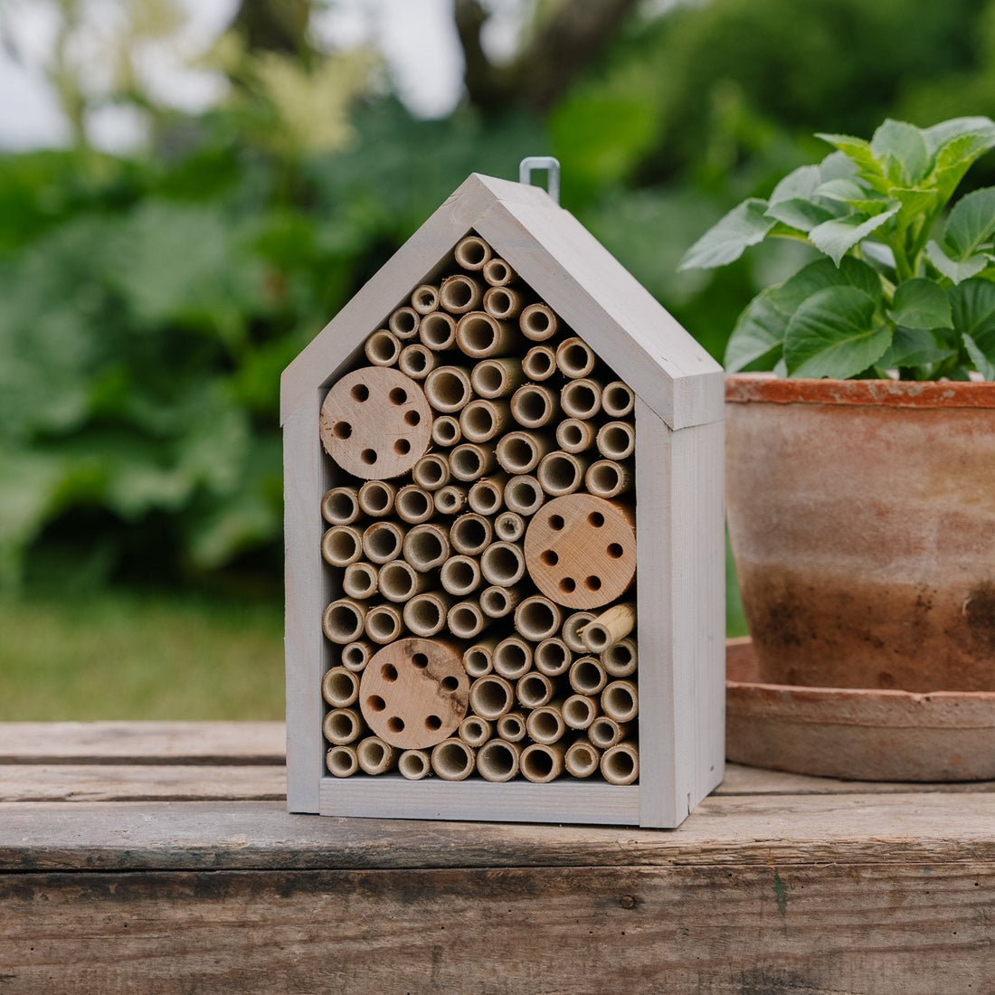 Hyönteishotelli, mänty, Pituus: 14 cm Leveys: 17 cm Korkeus: 28 cm