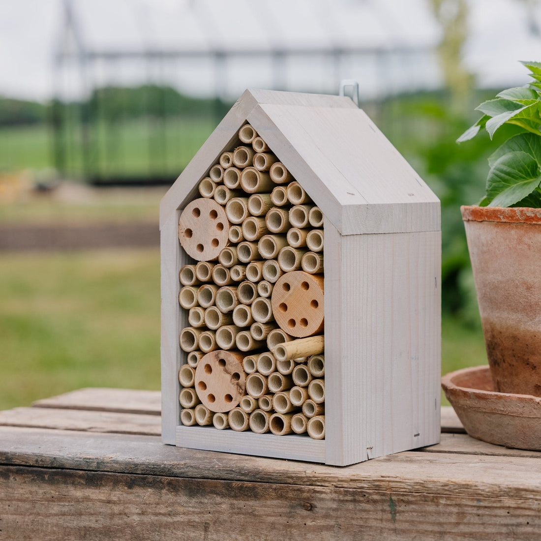 Hyönteishotelli, mänty, Pituus: 14 cm Leveys: 17 cm Korkeus: 28 cm