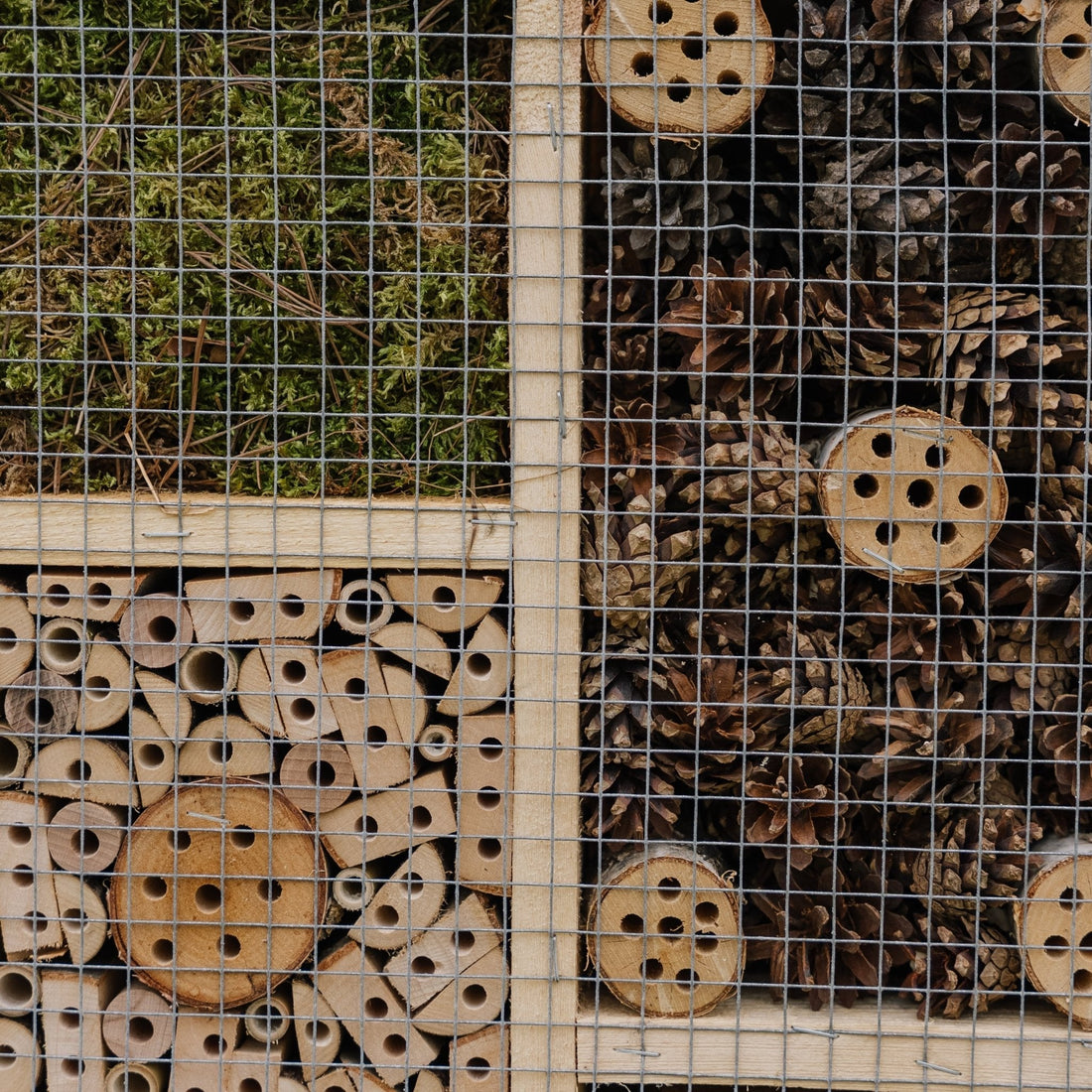 Hyönteishotelli, suuri, Pituus: 12 cm Leveys: 50 cm Korkeus: 38 cm