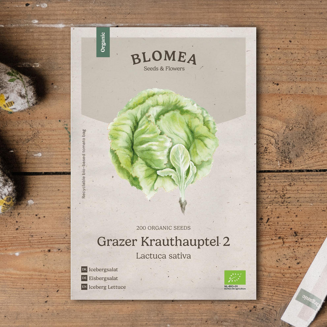 Jäävuorisalaatin siemenet 'Grazer Krauthaupel 2' - 200 luomusiementä