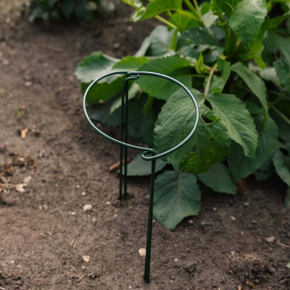 Kasvien tukikaariputki, Leveys: 20 cm Korkeus: 35 cm