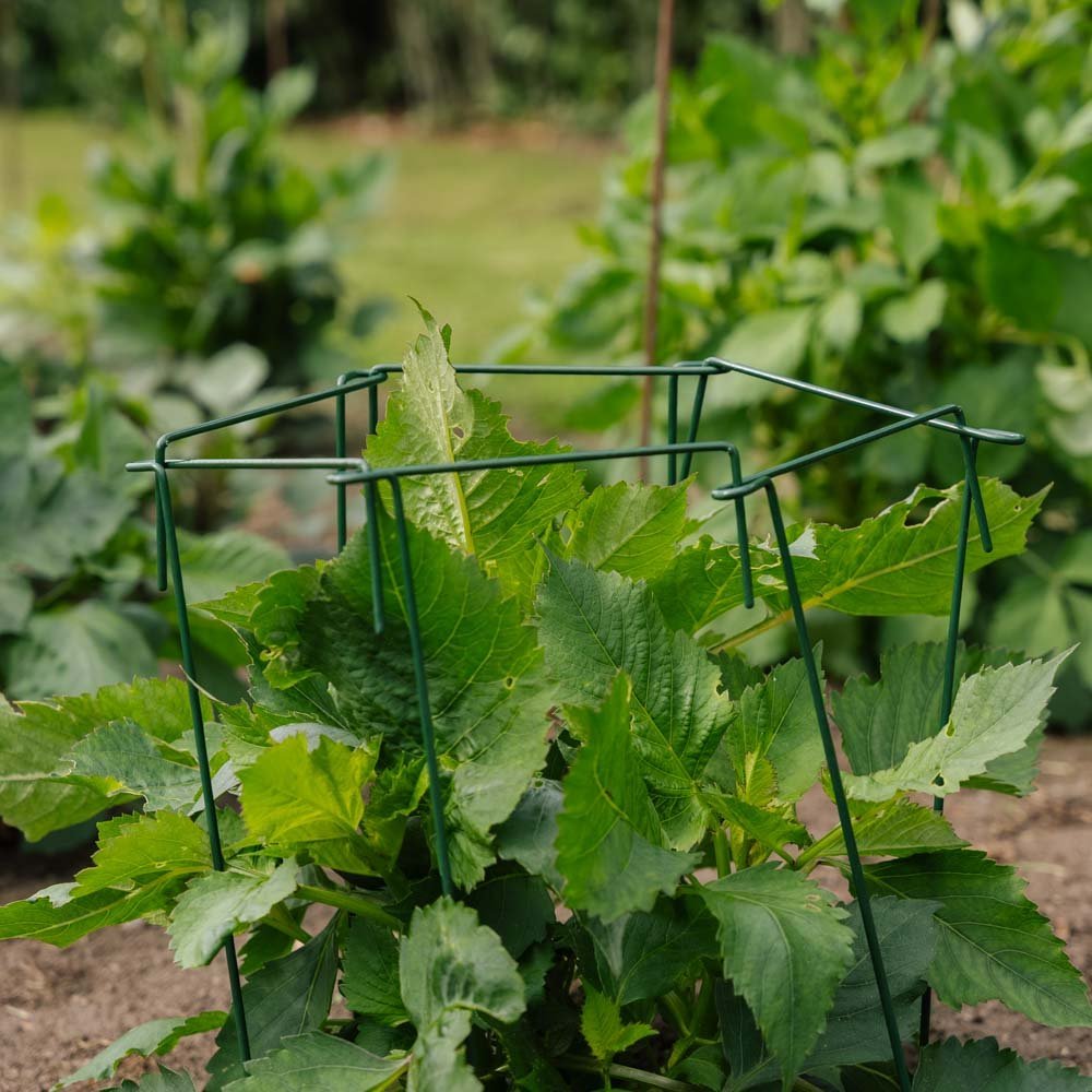 Kasvituki, 4 kpl, K: 45 cm x S: 17cm