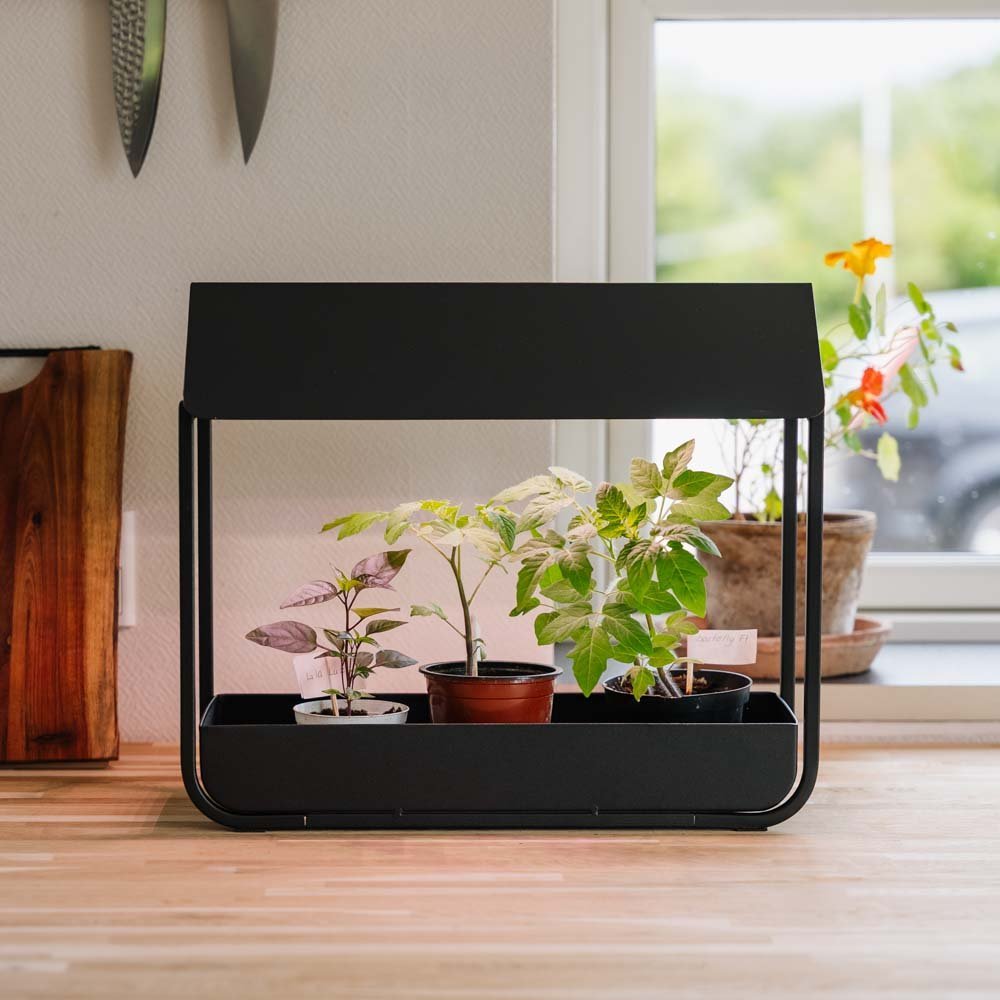 Kasvivalo, musta, Pituus: 17,5 cm Leveys: 42,4 cm Korkeus: 36.5 cm