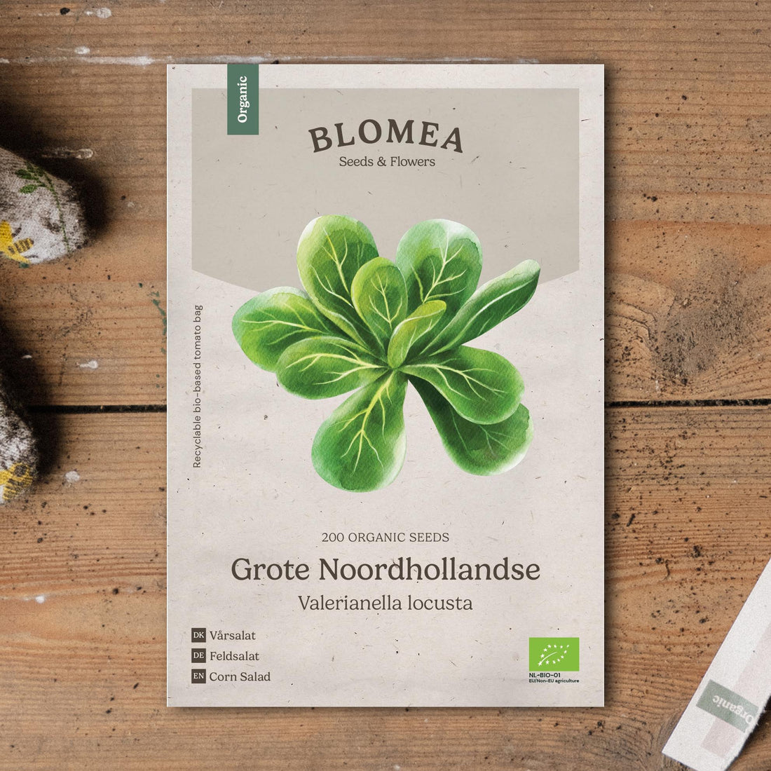 Kevätsalaatin siemenet 'Grote Noordhollandse' - 200 luomu siementä