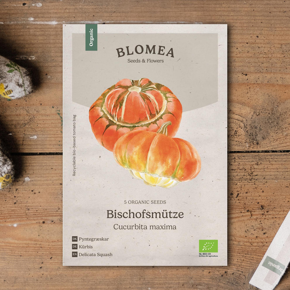 Koristekurpitsan siemenet 'Bischofsmütze' - 5 luomusiementä