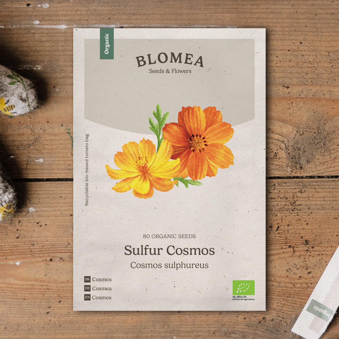 Kosmoskukan siemenet 'Sulfur Cosmos' - 80 luomusiementä