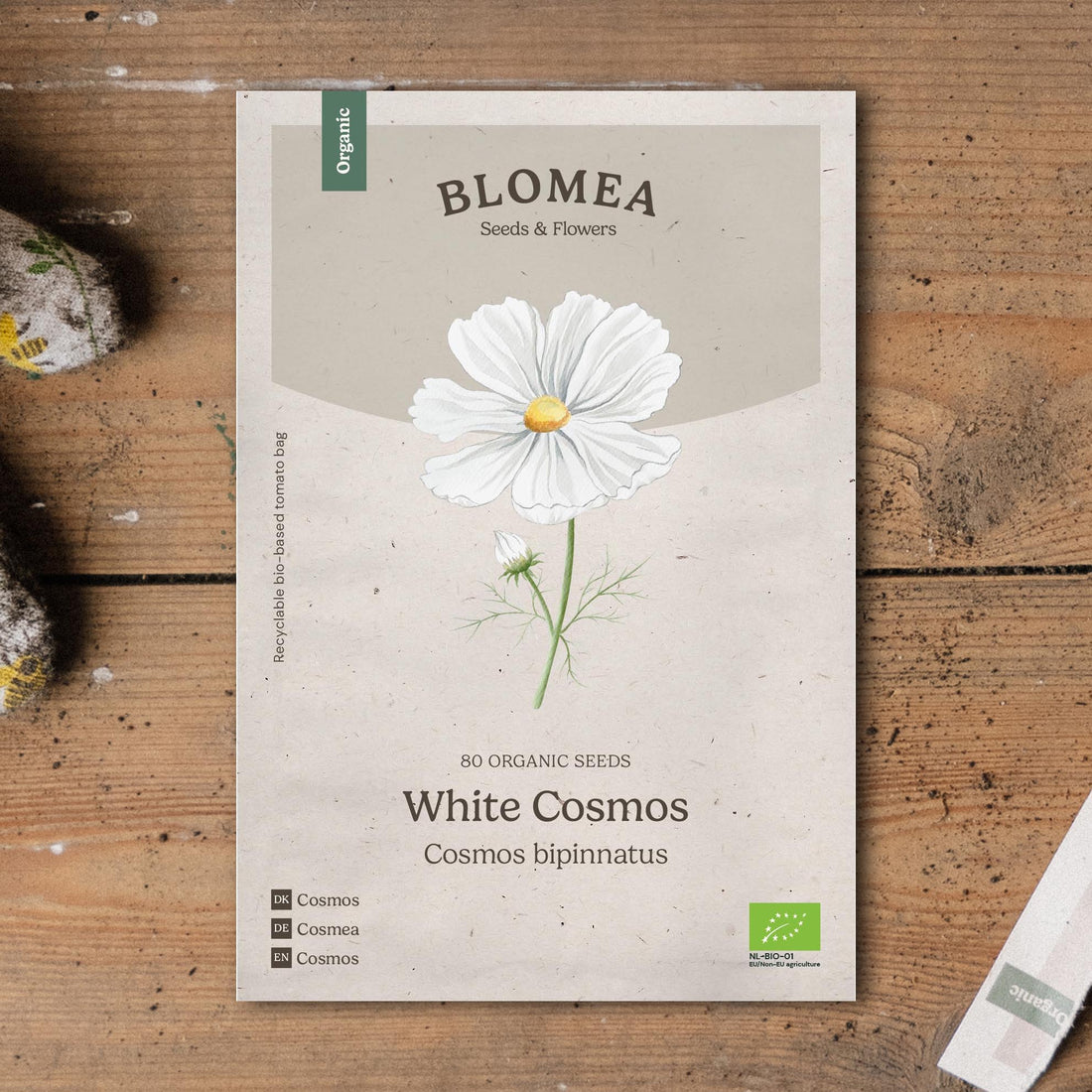 Kosmoskukan siemenet 'White Cosmos' - 80 luomusiementä