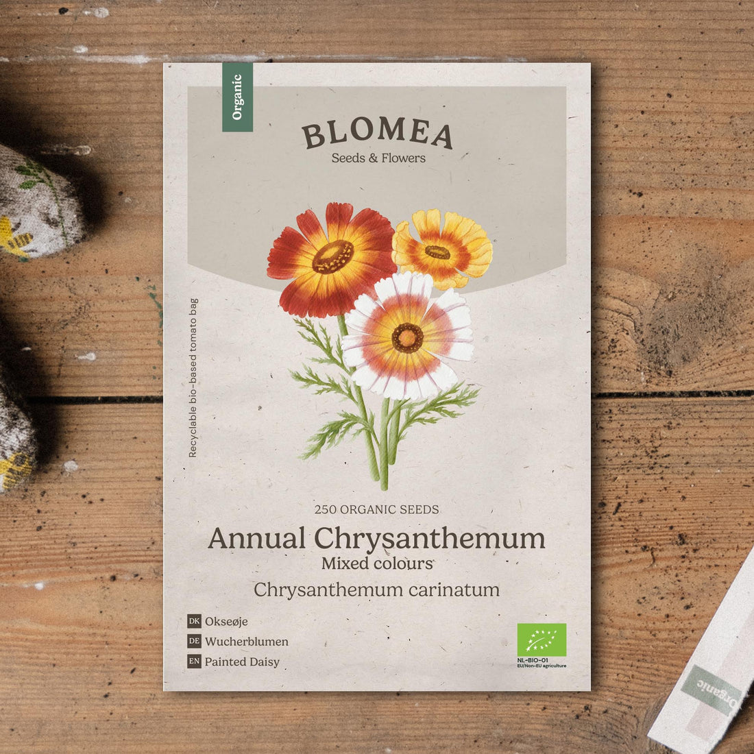Krysanteemin siemenet 'Mix' - 250 luomusiementä