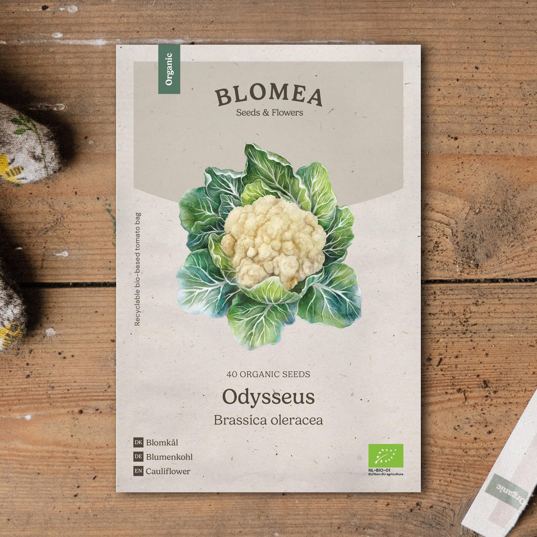 Kukkakaalin siemenet 'Odysseus' - 40 luomusiementä