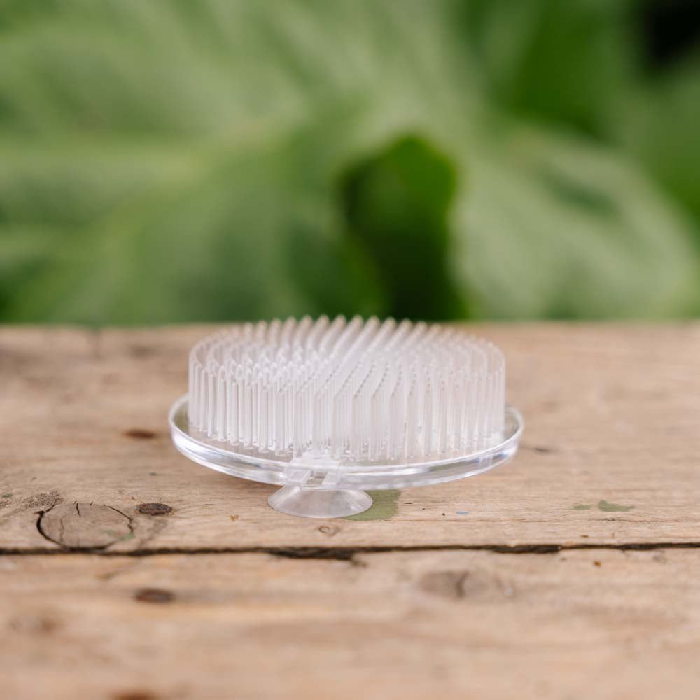 Kukkapidike, valkoinen (muovi), Ø: 6,9 cm