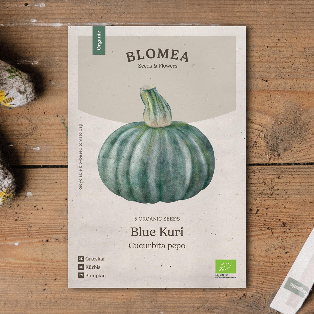 Kurpitsan siemenet 'Blue Kuri' - 5 luomusiementä