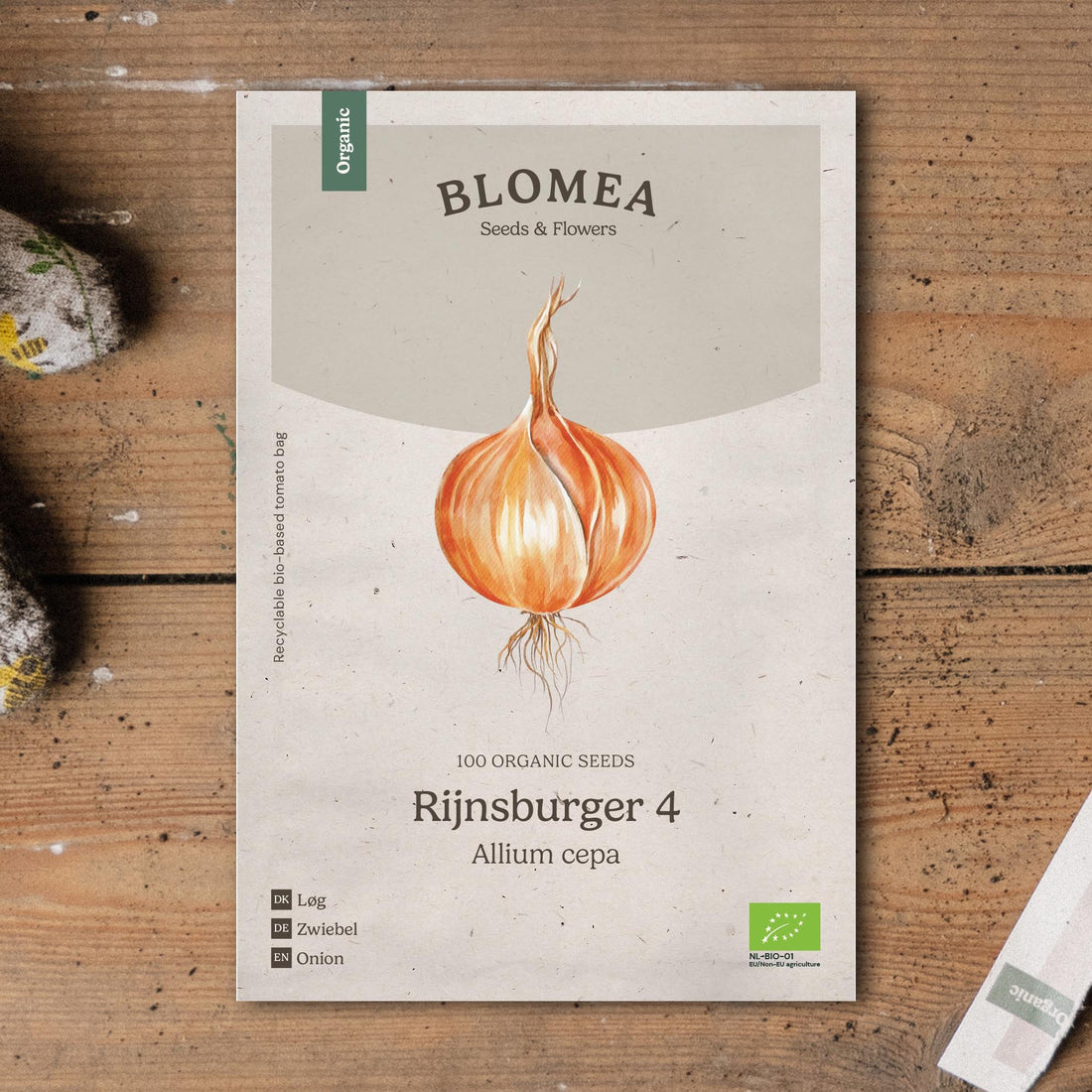 Sipulin siemenet 'Rijnsburger 4' - 100 luomusiementä