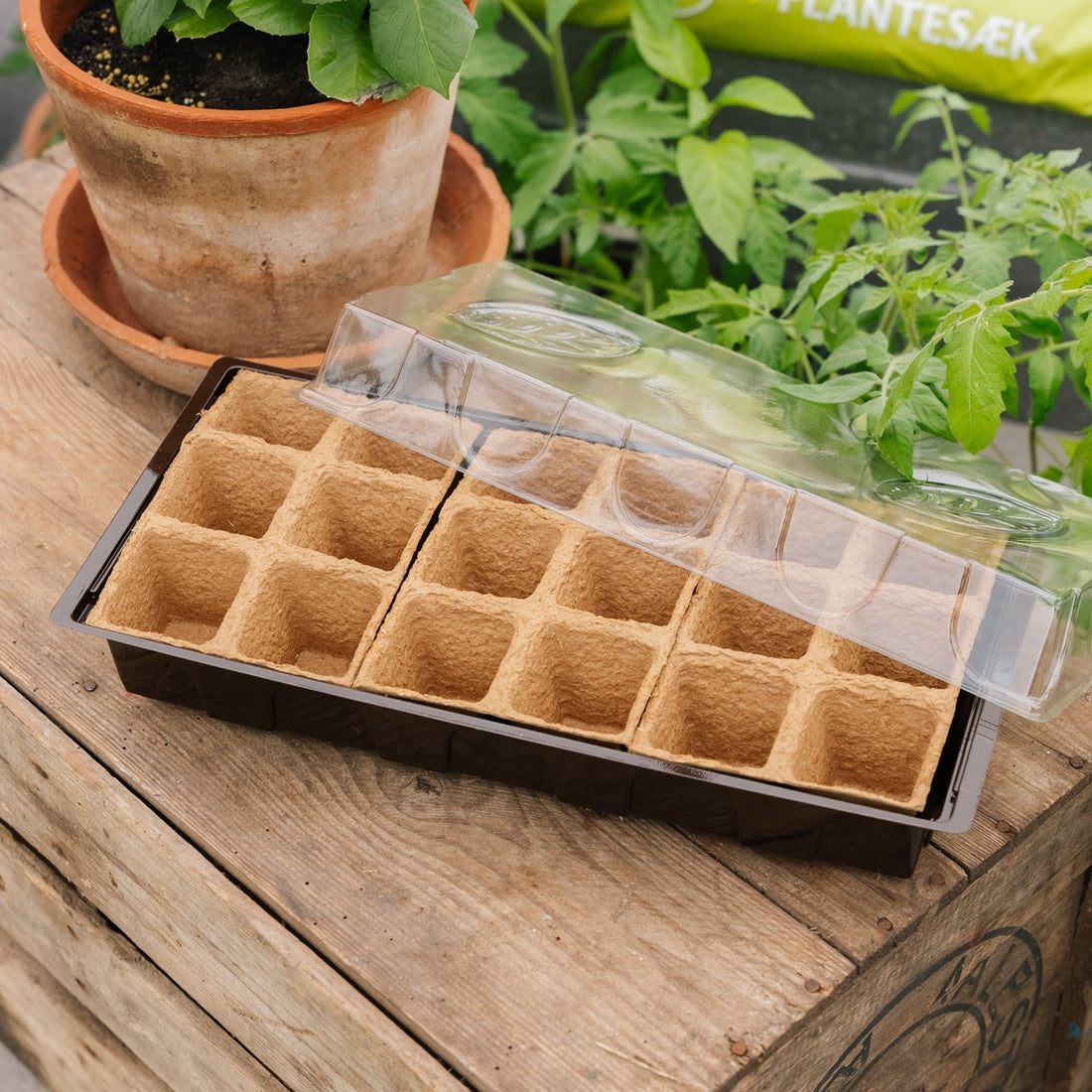 Minikasvihuone, 18 kpl.