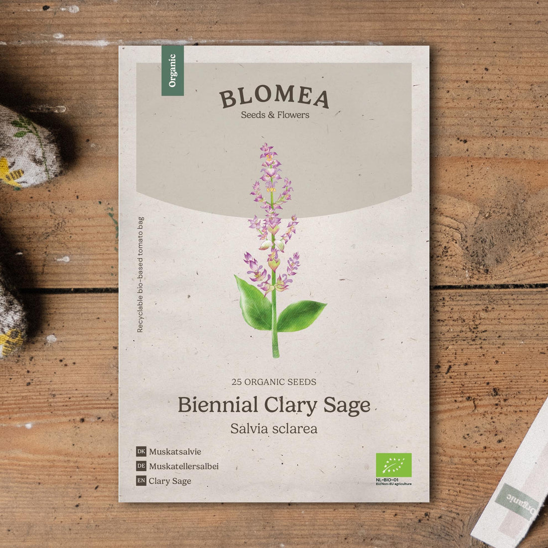 Myskisalvian siemenet 'Biennial Clary Sage' - 25 luomusiementä