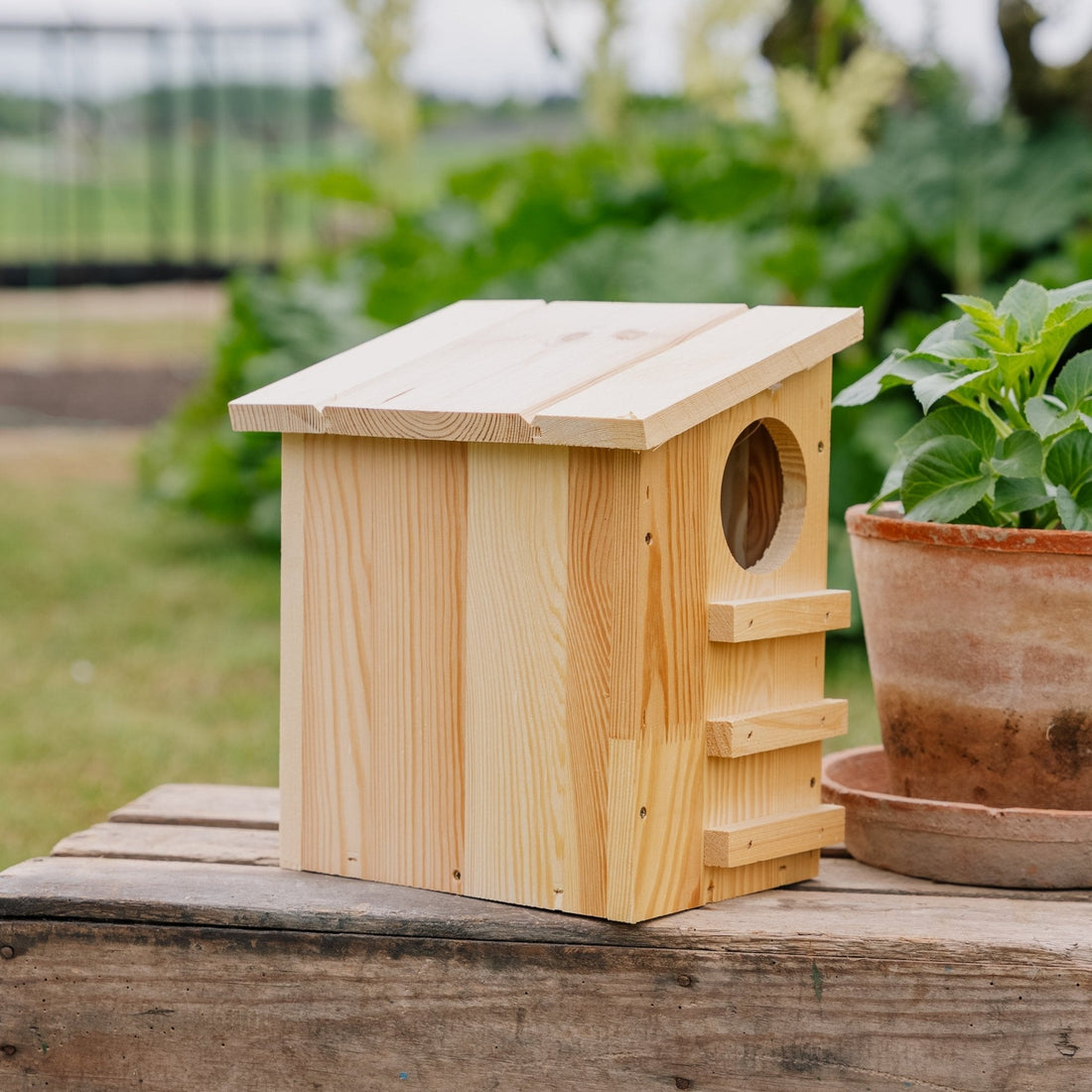 Oravan ruokintatalo, Pituus: 19 cm Leveys: 26 cm Korkeus: 29 cm