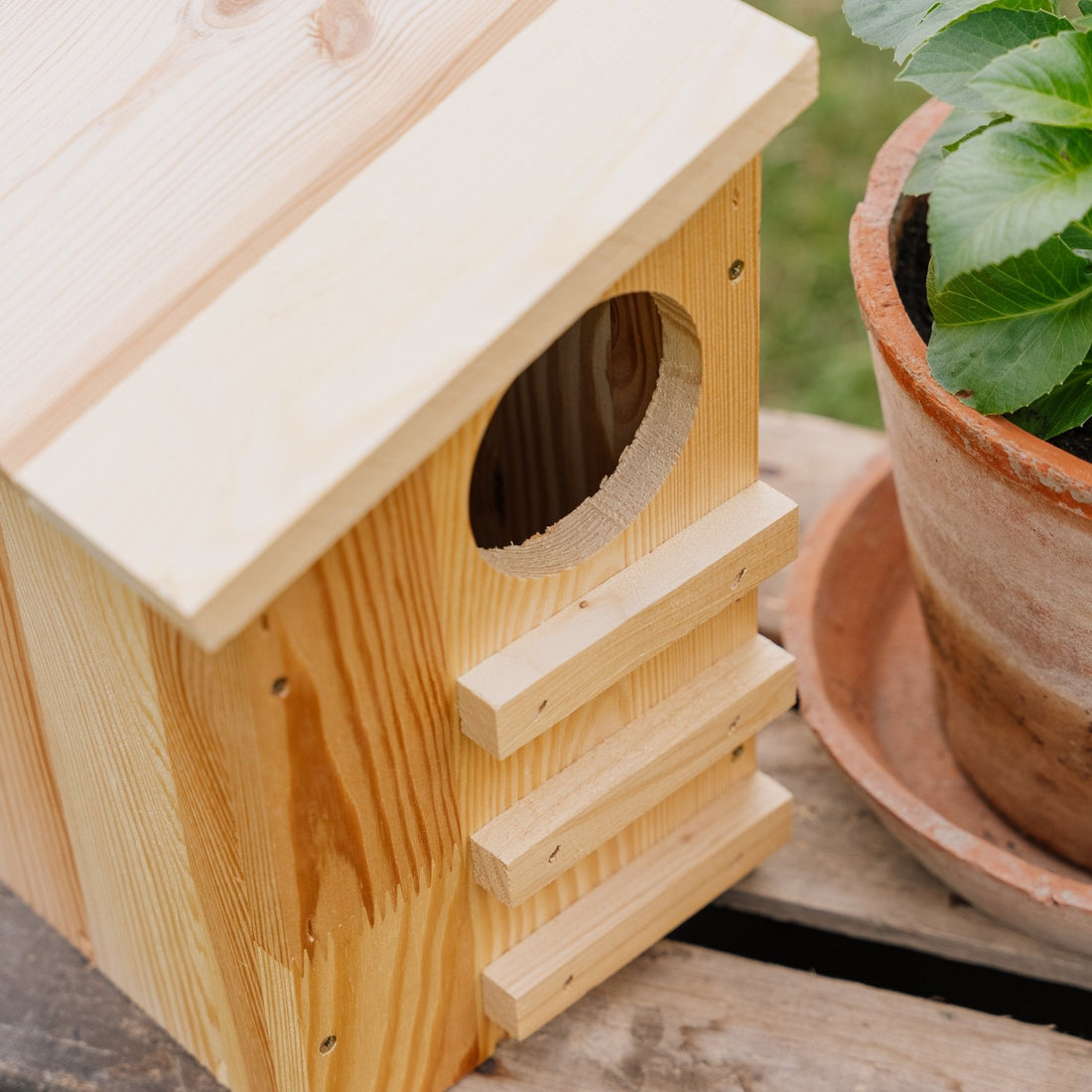 Oravan ruokintatalo, Pituus: 19 cm Leveys: 26 cm Korkeus: 29 cm