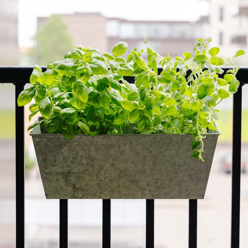 Sinkkinen parvekelaatikko, pituus 40 cm, leveys 16 cm, korkeus 16 cm