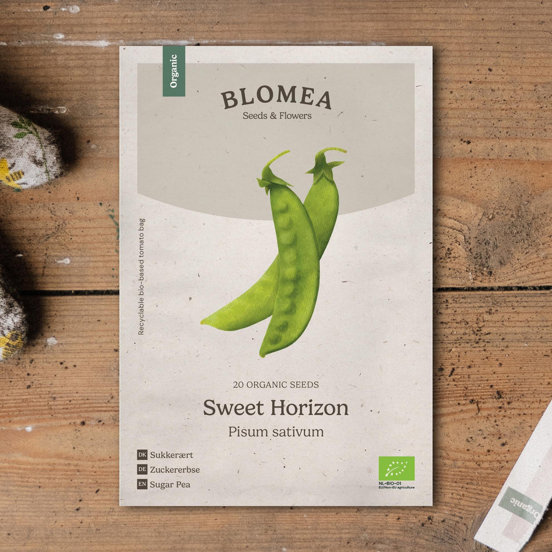 Sokeriherne 'Sweet Horizon' - 20 luomusiementä