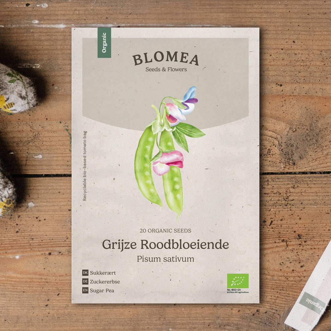 Sokeriherneen siemenet 'Grijze Roodbloeiende' - 20 luomusiementä