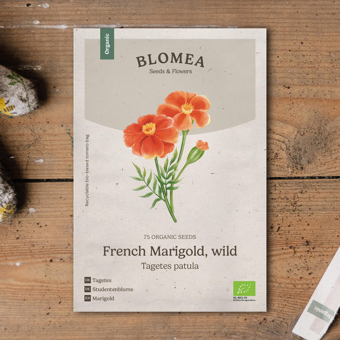 Villin samettikukan siemenet 'French Marigold, Wild' - 75 luomusiementä