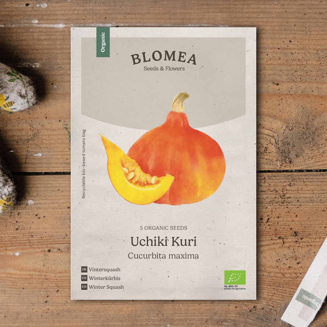 Talvikurpitsan siemenet 'Uchiki Kuri' - 5 luomusiementä
