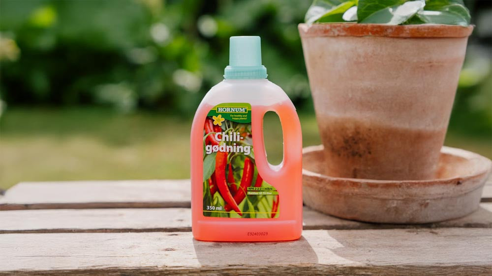 Chililannoite - Blomea.fi