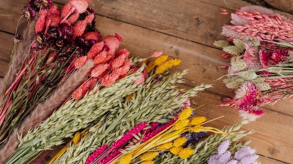 Ikuiset kukat - Blomea.fi