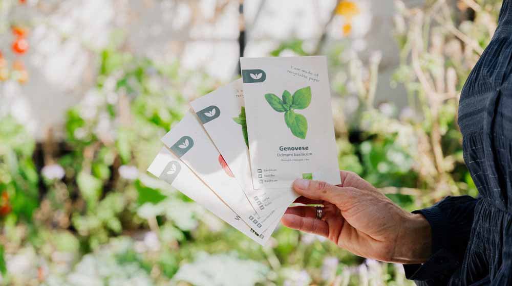 Joululahjat - Blomea.fi