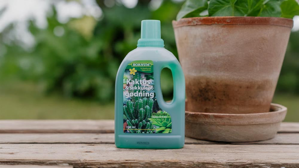 Kaktuslannoite - Blomea.fi