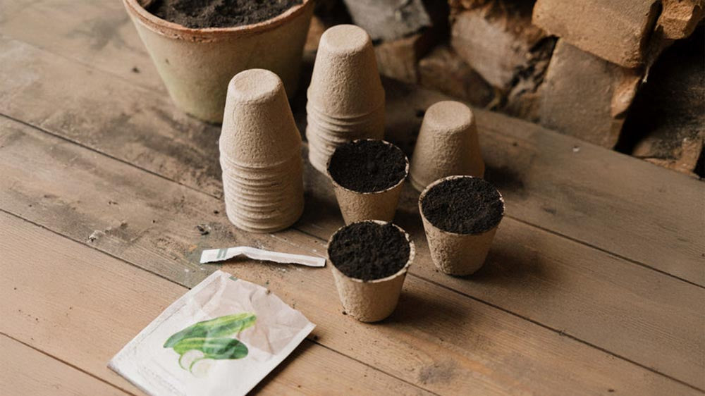 Kasvatusruukut - Blomea.fi