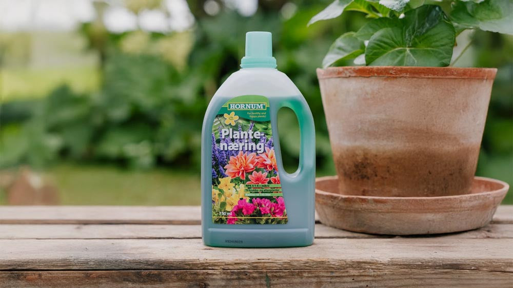 Kasviravinne - Blomea.fi