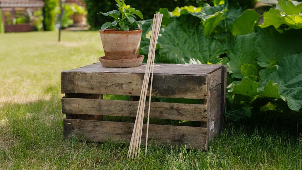 Kasvitikut - Blomea.fi