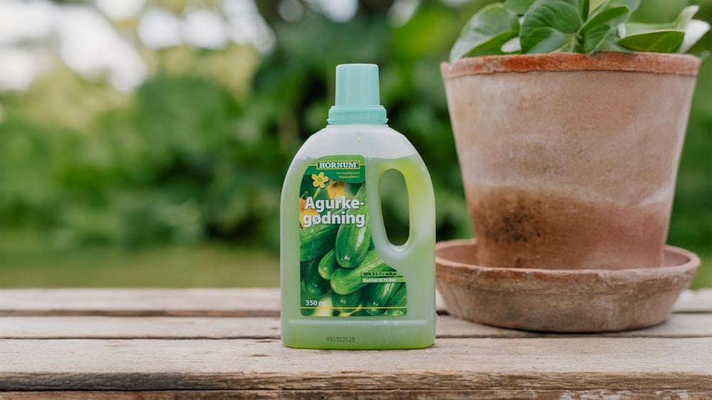 Kurkkulannoite - Blomea.fi