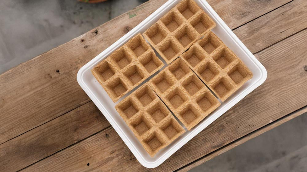 Kylvöalusta - Blomea.fi