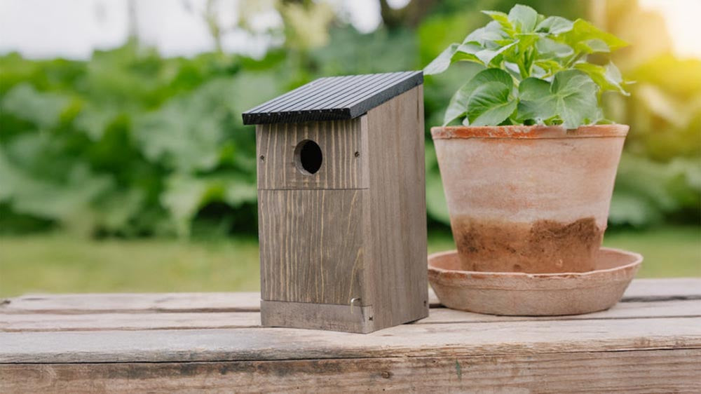 Linnunpönttö - Blomea.fi