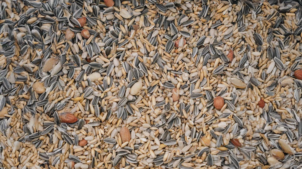 Linnunsiemenet - Blomea.fi