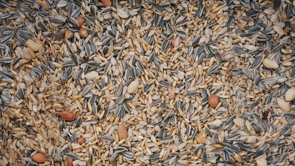 Lintujen ruoka - Blomea.fi