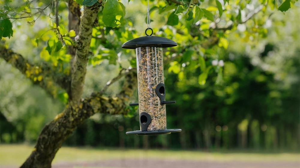 Lintujen ruokintalaite - Blomea.fi