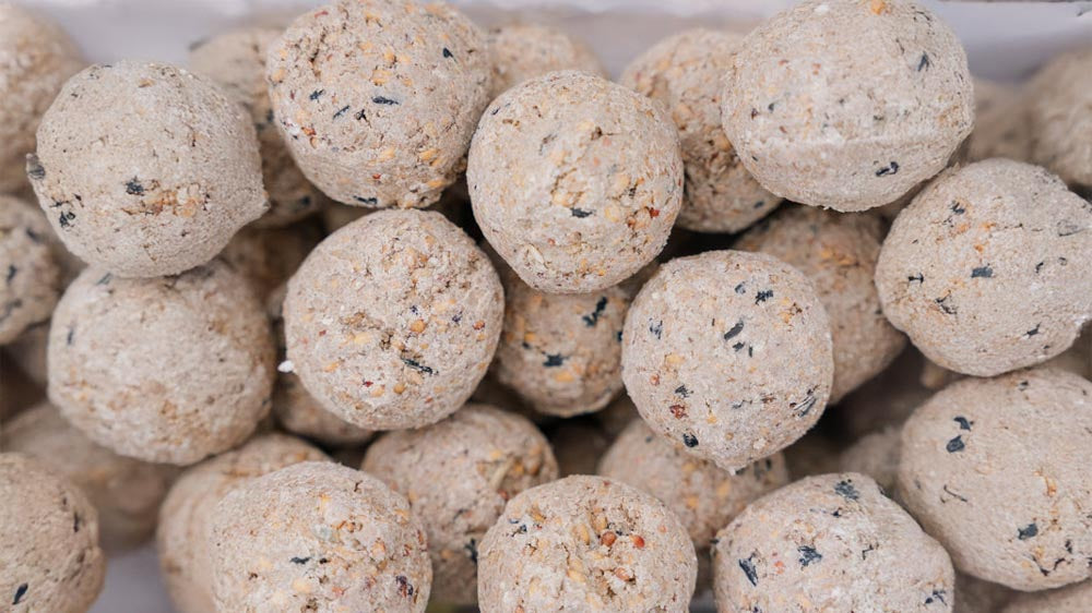 Lintupallot - Blomea.fi