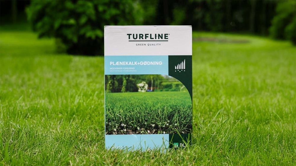 Nurmikkokalkki - Blomea.fi